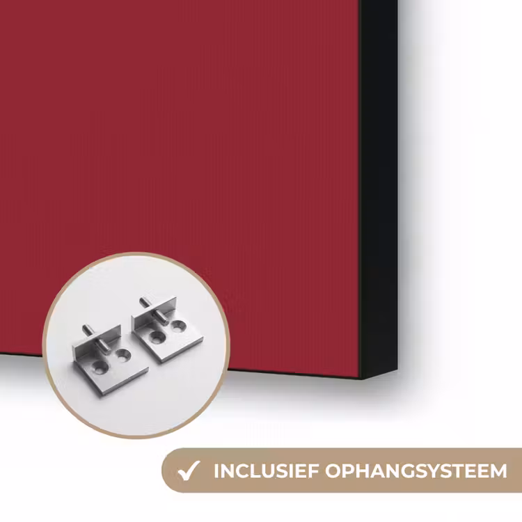 Tekst - Studie - Motivatie - Modern - Rood Textielframe zwart klein -USP_ophangsysteemNL