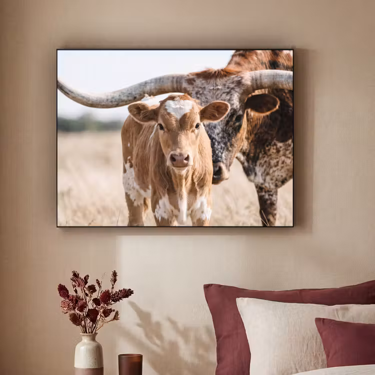 Texas Longhorn - Kalf - Weide - Dieren Textielframe zwart klein -sfeer1
