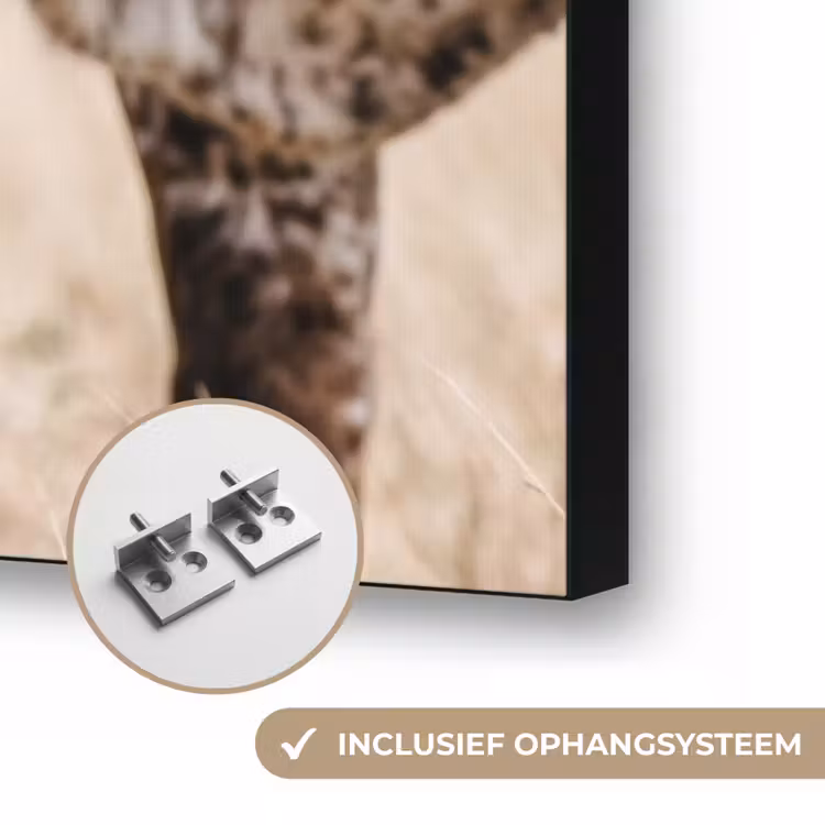 Texas Longhorn - Kalf - Weide - Dieren Textielframe zwart klein -USP_ophangsysteemNL