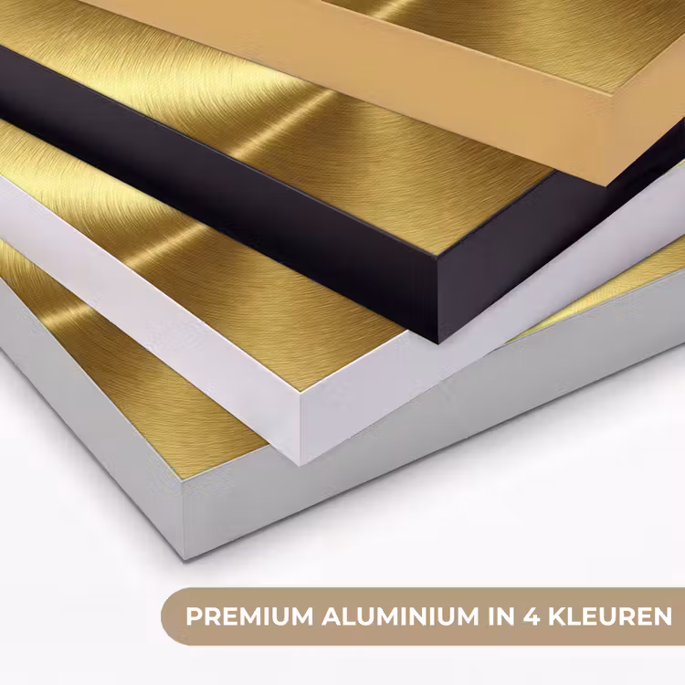 Textuur - Geborsteld Goud - Industrieel - Metallic Textielframe zwart klein 947 -USP_kleurenNL