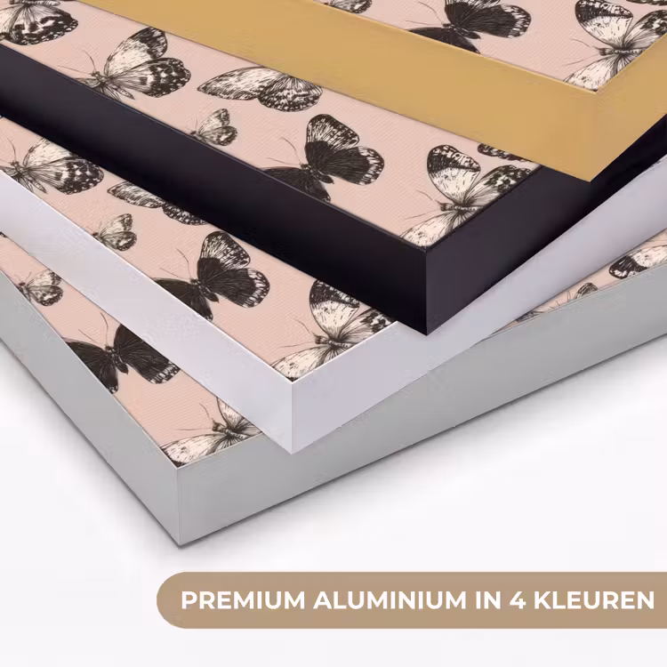 Tijdloos - Vlinders - Perzik Textielframe zwart klein 947 -USP_kleurenNL