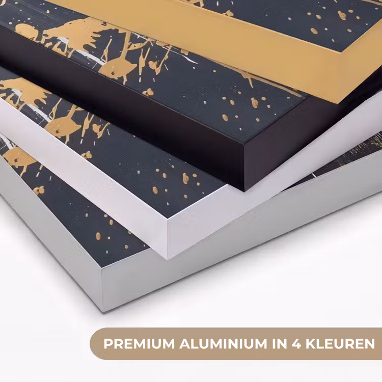 Tijger - Verfspatten - Goud Textielframe zwart klein -USP_kleurenNL