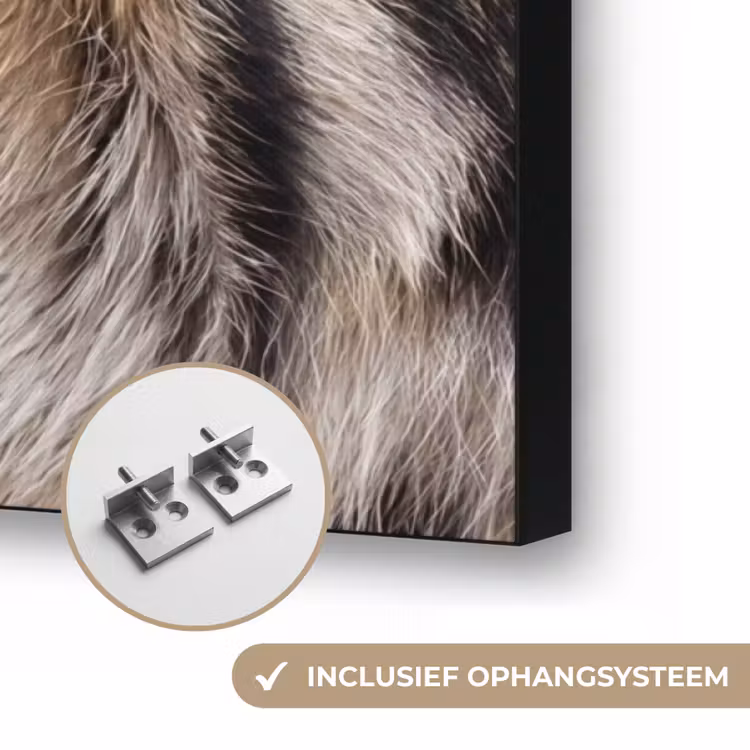 Tijgervacht - Klassiek - Zwart Textielframe zwart klein -USP_ophangsysteemNL