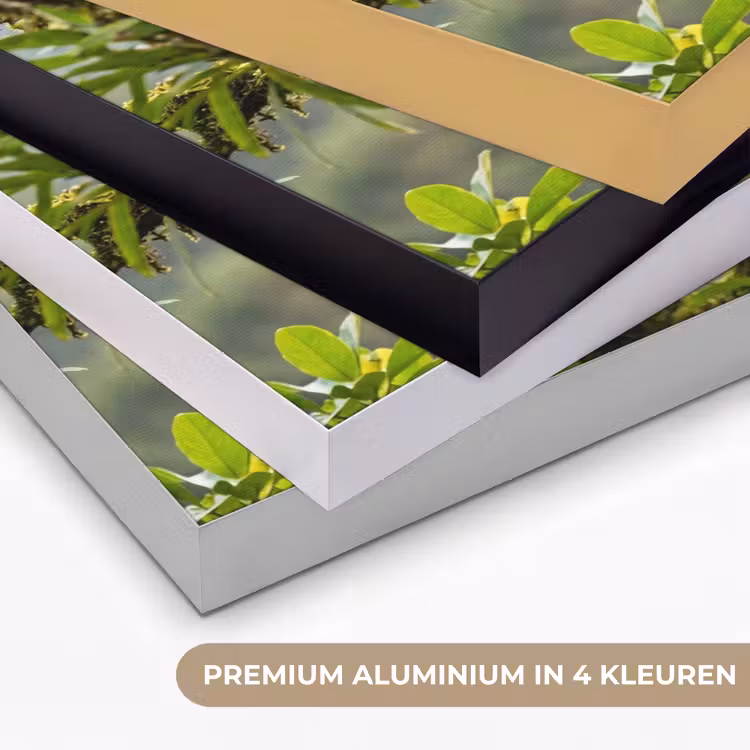 Toekan - Jungle - Natuur - Kleurrijk Textielframe zwart klein -USP_kleurenNL