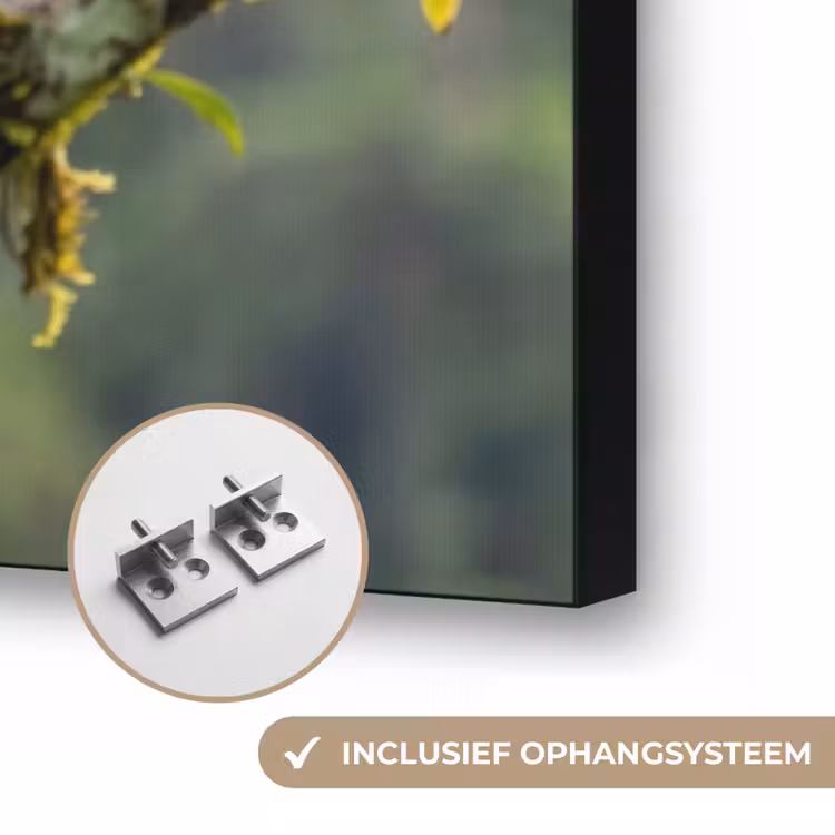 Toekan - Jungle - Natuur - Kleurrijk Textielframe zwart klein -USP_ophangsysteemNL