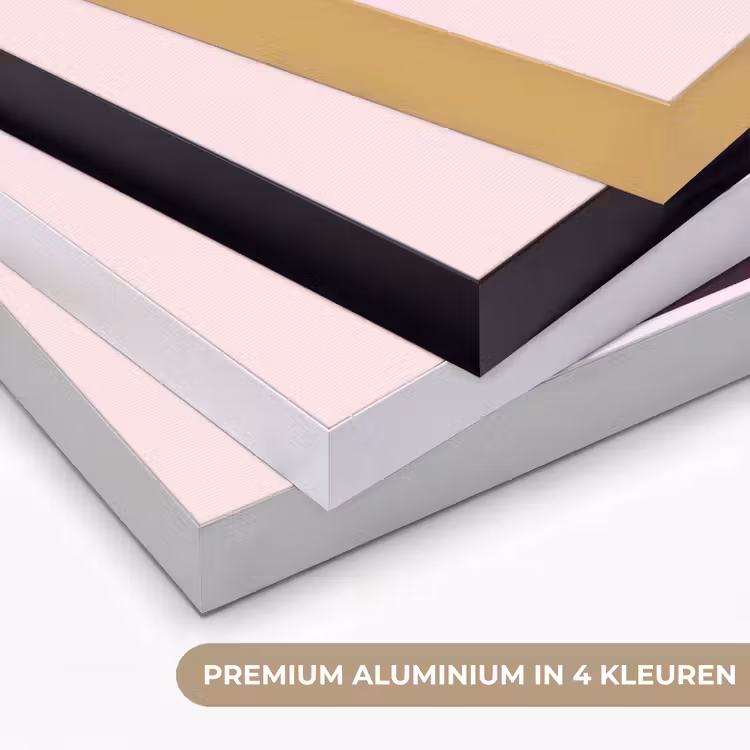 Trofee - Best Mom - Bloemen - Kleurrijk Textielframe zwart klein -USP_kleurenNL