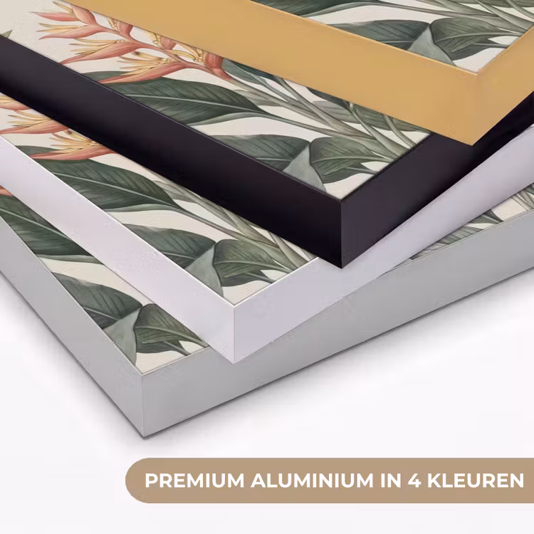 Tropisch - Planten - Modern - Groen Textielframe zwart klein -USP_kleurenNL