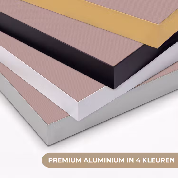 Tros - Druiven - Illustratie - Bladeren Textielframe zwart klein -USP_kleurenNL