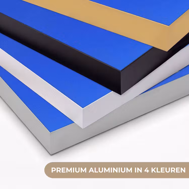Tulp - Minimalistisch - Bladeren - Wit Textielframe zwart klein -USP_kleurenNL