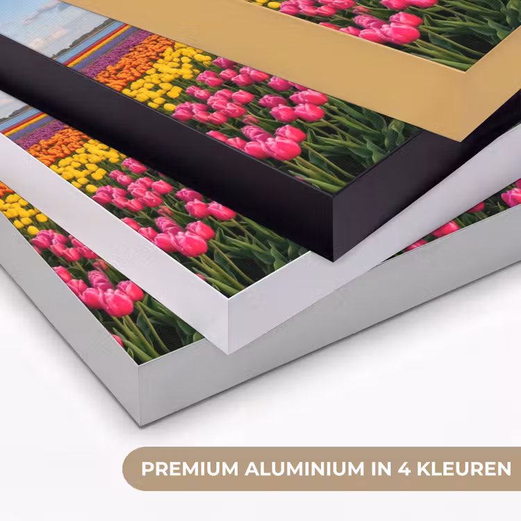 Tulpen - Holland - Molen - Kleurrijk Textielframe zwart klein -USP_kleurenNL