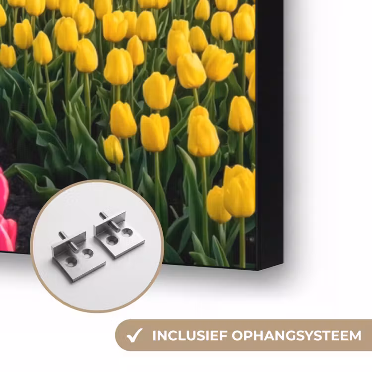 Tulpen - Holland - Molen - Kleurrijk Textielframe zwart klein -USP_ophangsysteemNL