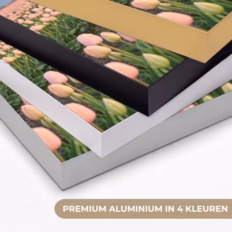 Tulpen - Landschap - Roze Textielframe zwart klein -USP_kleurenNL