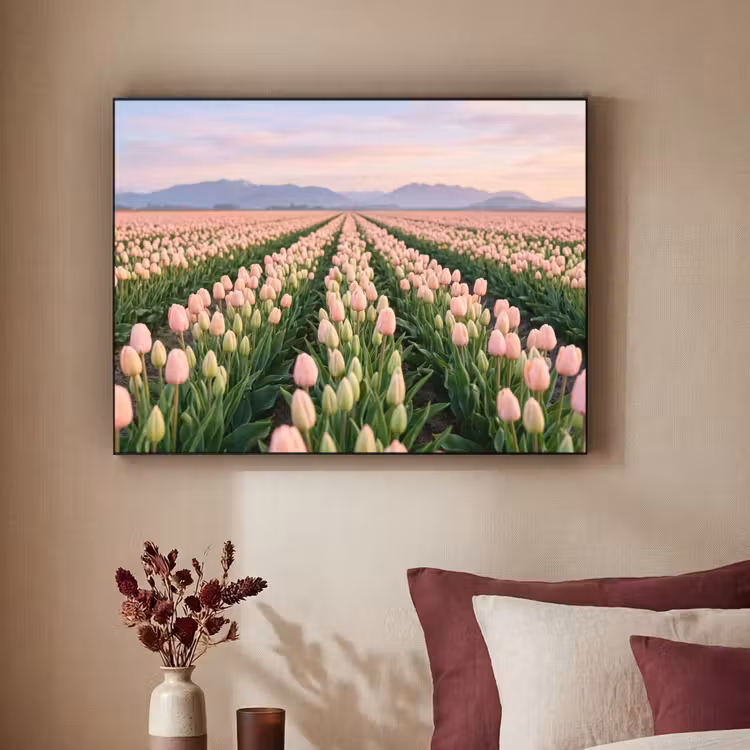 Tulpen - Landschap - Roze Textielframe zwart klein -sfeer1