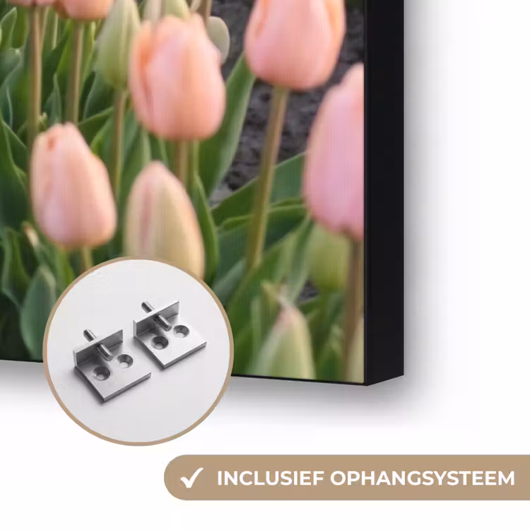 Tulpen - Landschap - Roze Textielframe zwart klein -USP_ophangsysteemNL