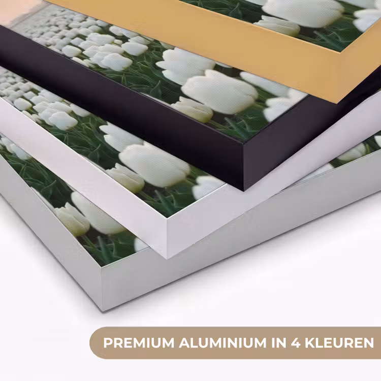 Tulpen - Landschap - Wit Textielframe zwart klein -USP_kleurenNL