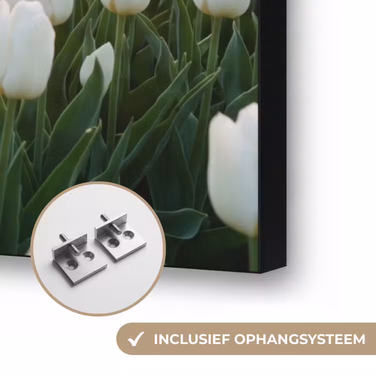 Tulpen - Landschap - Wit Textielframe zwart klein -USP_ophangsysteemNL