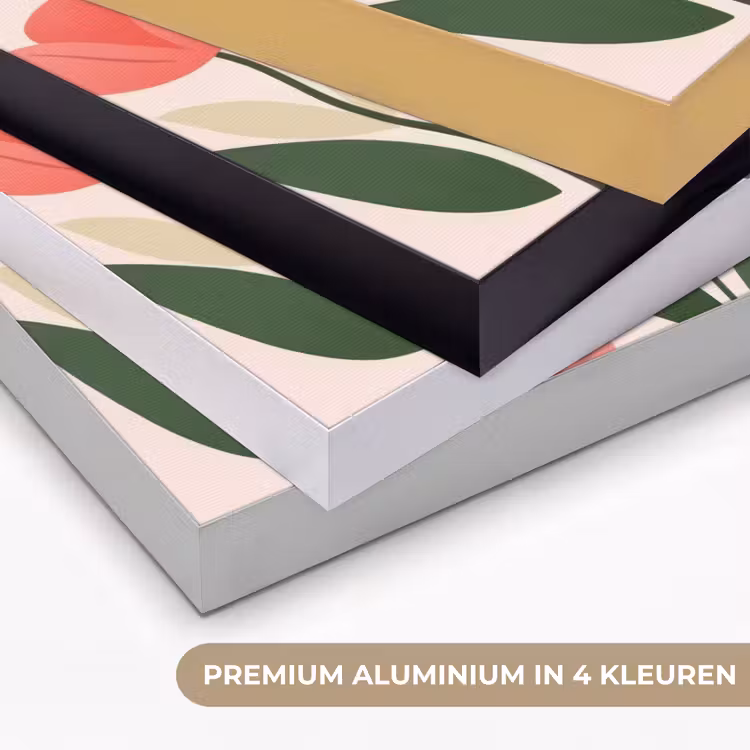 Tulpen - Modern - Roze Textielframe zwart klein -USP_kleurenNL