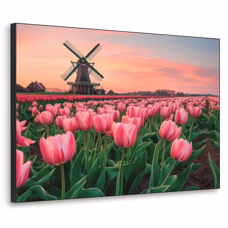 Tulpen - Molen - Nederland Textielframe - compleet frame klein -3d