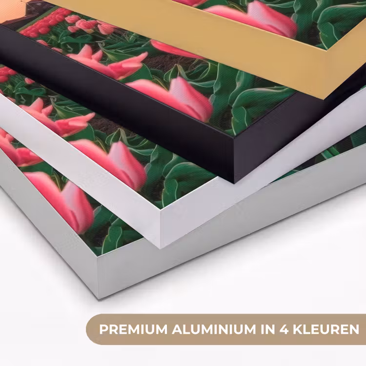 Tulpen - Molen - Nederland Textielframe zwart klein -USP_kleurenNL