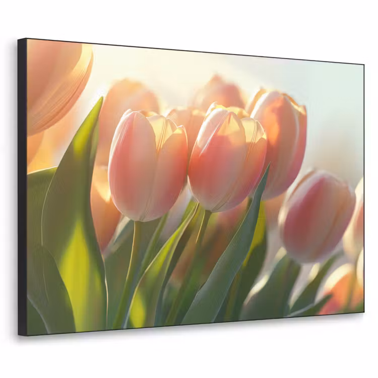 Tulpen - Roze - Zonnestralen Textielframe zwart klein -3d