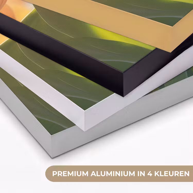 Tulpen - Roze - Zonnestralen Textielframe zwart klein -USP_kleurenNL