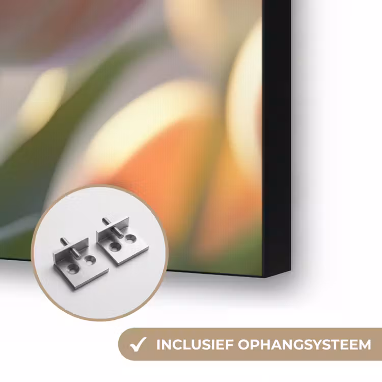 Tulpen - Roze - Zonnestralen Textielframe zwart klein -USP_ophangsysteemNL
