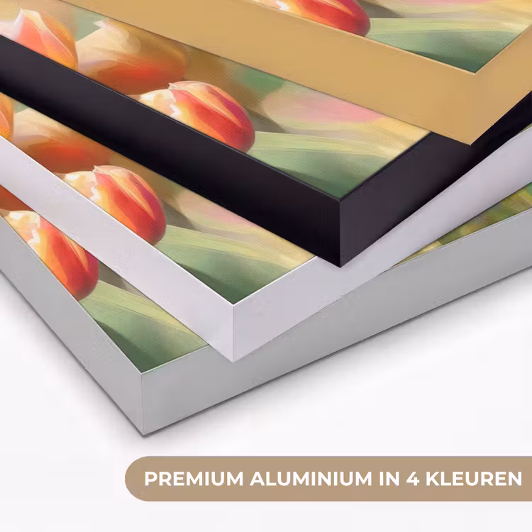 Tulpen - Sprookjesachtig - Kleurrijk Textielframe zwart klein -USP_kleurenNL