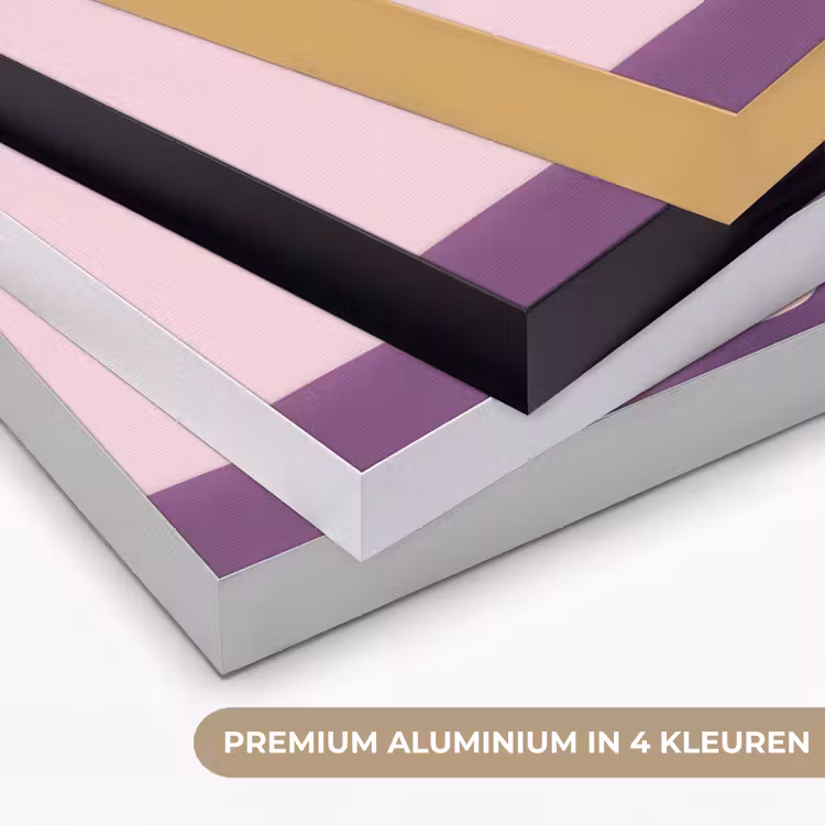 Tulpen - Vaas - Strepen - Paars Textielframe zwart klein -USP_kleurenNL