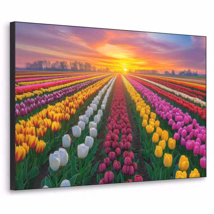 Tulpenveld - Zonsondergang - Kleurrijk Textielframe - compleet frame klein -3d