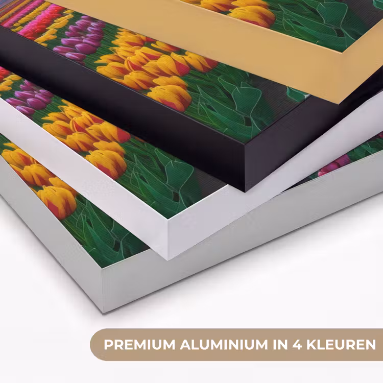 Tulpenveld - Zonsondergang - Kleurrijk Textielframe zwart klein -USP_kleurenNL