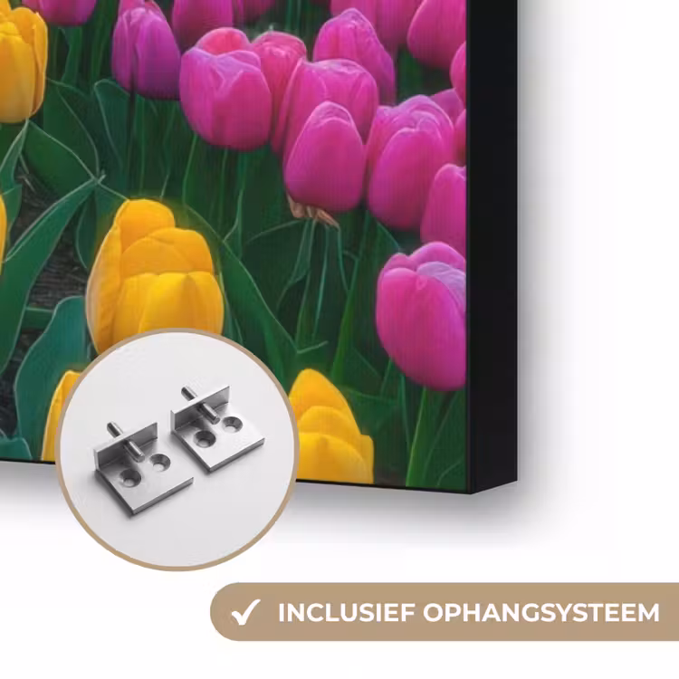 Tulpenveld - Zonsondergang - Kleurrijk Textielframe zwart klein -USP_ophangsysteemNL