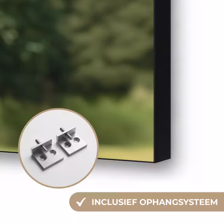 Uil - Boomstronk - Bos - Lucht Textielframe zwart klein -USP_ophangsysteemNL
