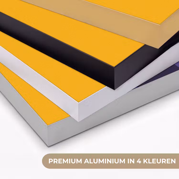 Uil - Grafisch - Kleurrijk - Ogen Textielframe zwart klein -USP_kleurenNL