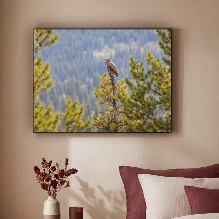Uil - Oehoe - Bomen - Natuur Textielframe zwart klein -sfeer1