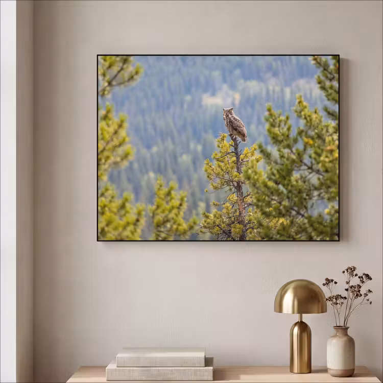 Uil - Oehoe - Bomen - Natuur Textielframe zwart klein -sfeer2