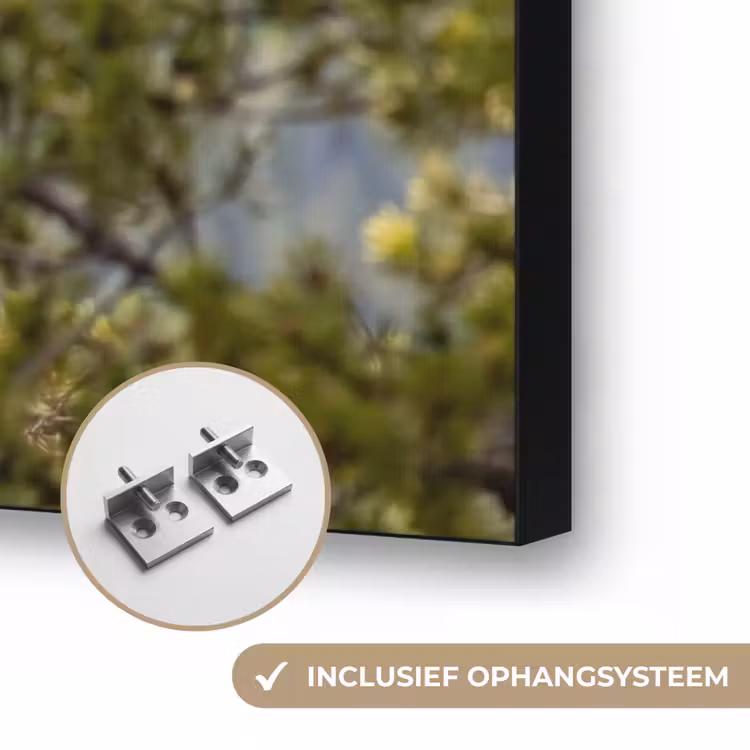 Uil - Oehoe - Bomen - Natuur Textielframe zwart klein -USP_ophangsysteemNL