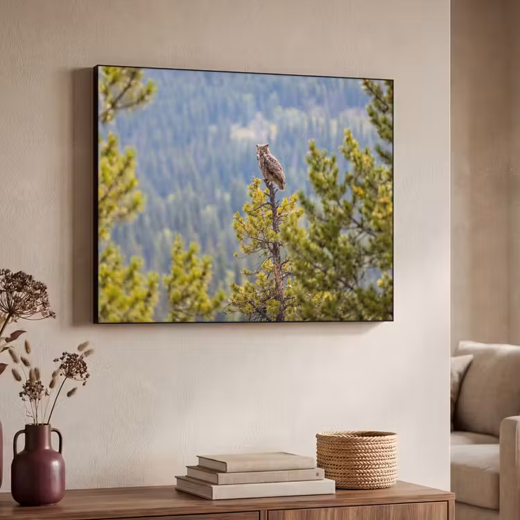 Uil - Oehoe - Bomen - Natuur Textielframe zwart klein -sfeer3