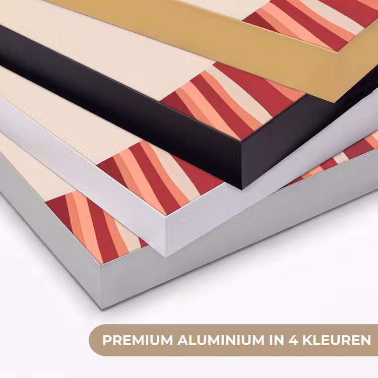 Vaas - Bloemen - Vlinder - Rood Textielframe zwart klein -USP_kleurenNL