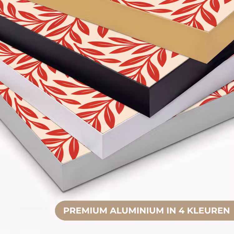 Vaas - Planten - Decoratie - Abstract - Rood Textielframe zwart klein -USP_kleurenNL