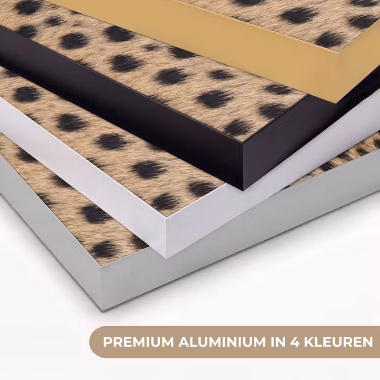 Vacht - Jachtluipaard - Zwart - Wit Textielframe zwart klein -USP_kleurenNL