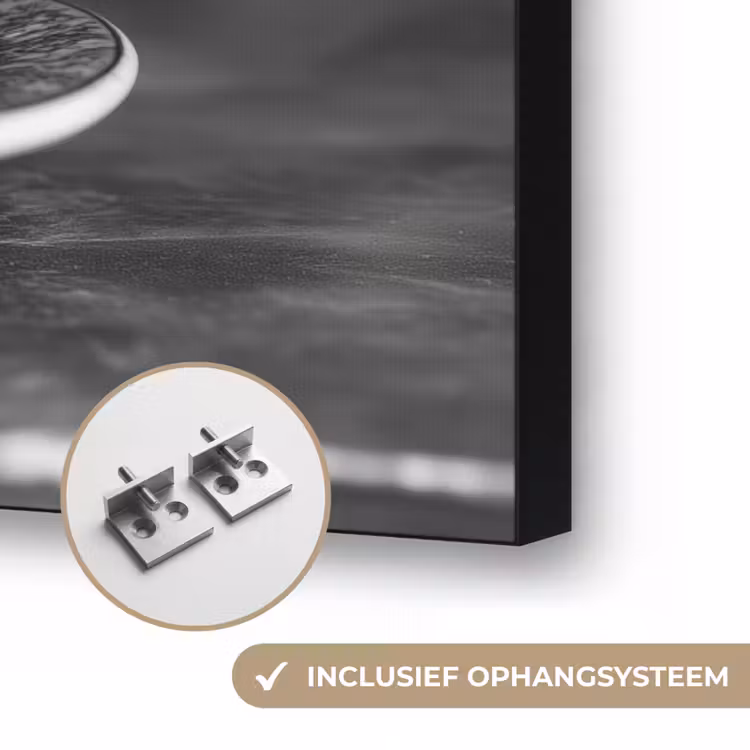 Varken - Schattig - Spaghetti - Zwart wit - Dier Textielframe zwart klein -USP_ophangsysteemNL
