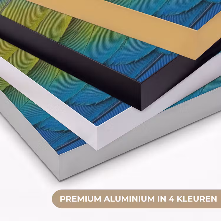 Veren - Ara - Kleurrijk Textielframe zwart klein -USP_kleurenNL