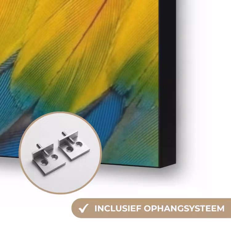 Veren - Ara - Kleurrijk Textielframe zwart klein -USP_ophangsysteemNL