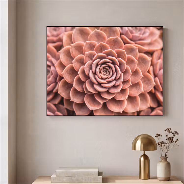 Vetplant - Organisch - Roze Textielframe zwart klein -sfeer2