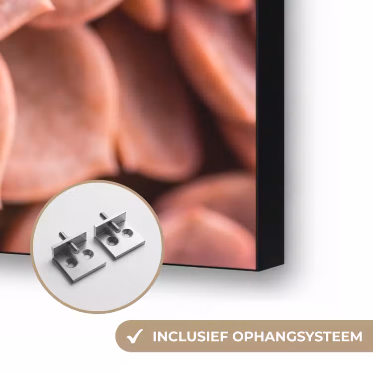 Vetplant - Organisch - Roze Textielframe zwart klein -USP_ophangsysteemNL