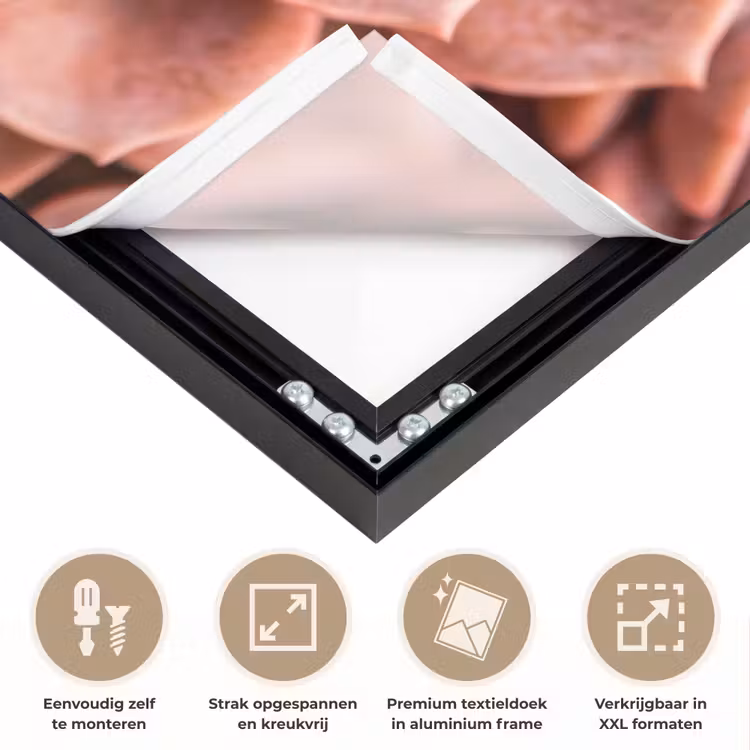 Vetplant - Organisch - Roze Textielframe zwart klein -USP_feed_closeupNL