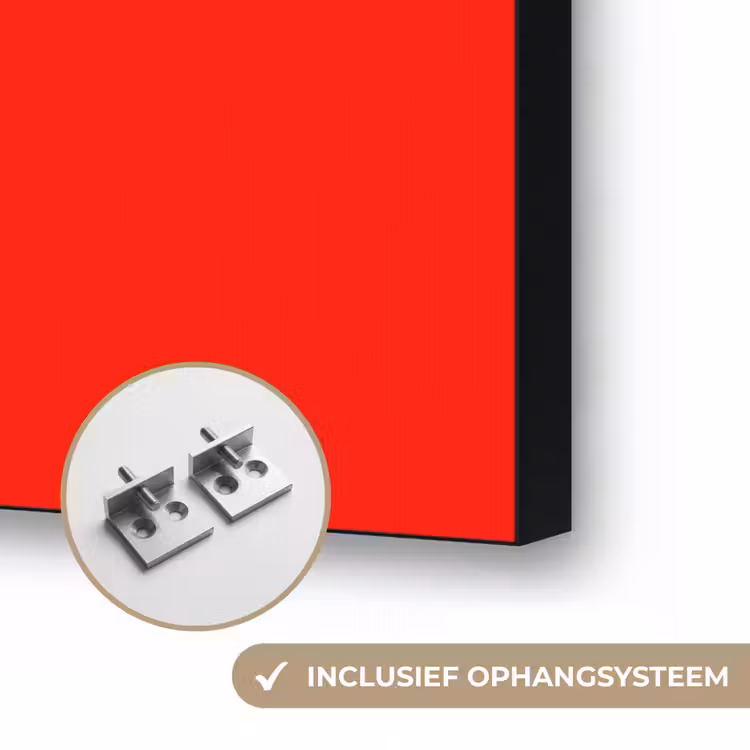 Vibrant - Vermilion - Rood Textielframe zwart klein 947 -USP_ophangsysteemNL