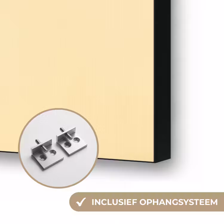 Vis - Blauw - Stippen - Schubben Textielframe zwart klein -USP_ophangsysteemNL