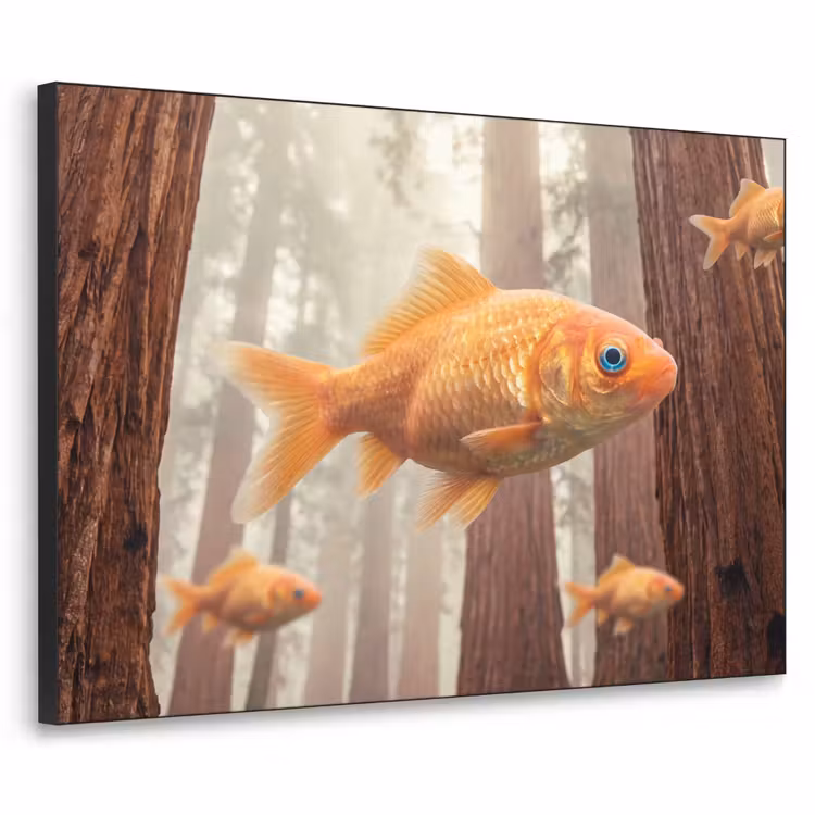 Art frame - Vis - Bos - Fantasie - Vis - Bos - Fantasie Textielframe zwart klein
