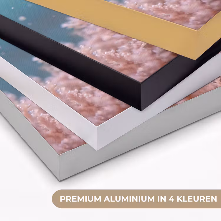 Vis - Koraal - Oceaan - Macro - Oranje Textielframe zwart klein -USP_kleurenNL
